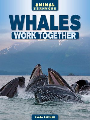 cover image of Whales Work Together